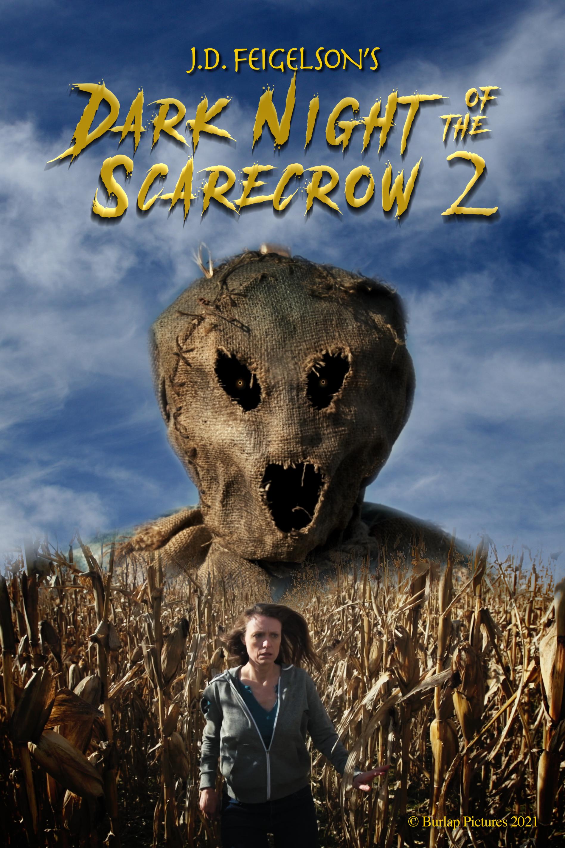 Dark Night of the Scarecrow 2