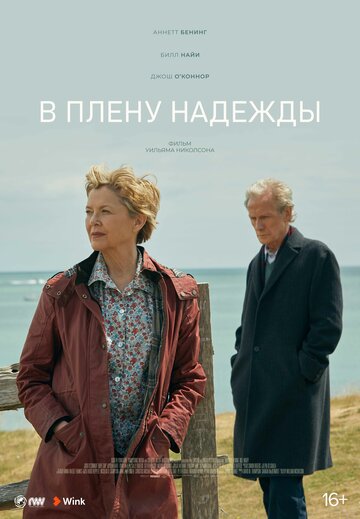 В плену надежды (2019)