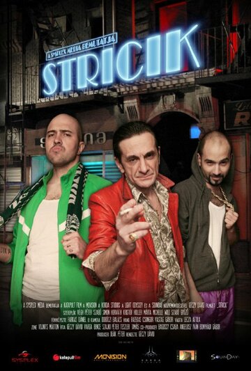 Stricik (2010)